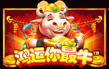 鸿运你最牛™